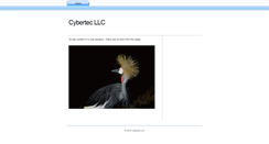 Desktop Screenshot of cybertec.com