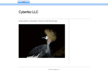 Tablet Screenshot of cybertec.com